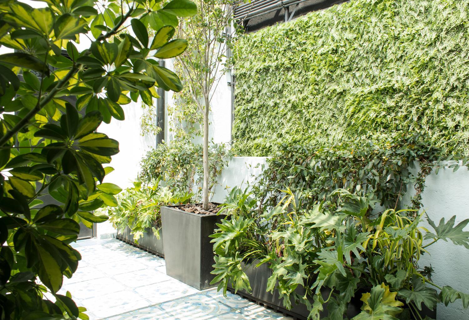 Casa Decu Hotel Mexico City Luaran gambar